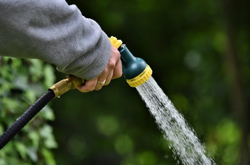 Watering Schedule